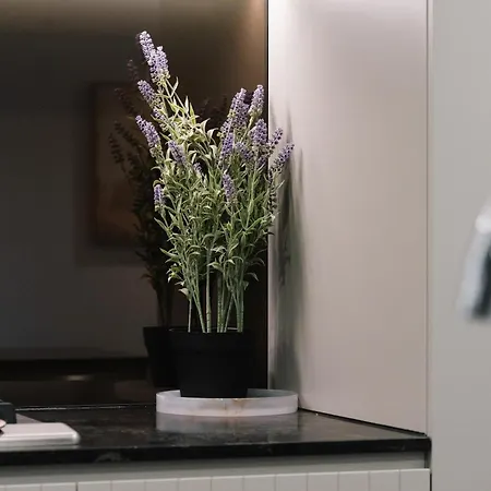 Cassa One - The One Managed By The Cassa Apartment Brisbane