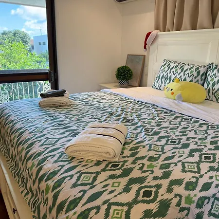4br Big Family House With Huge Pool Brisbane