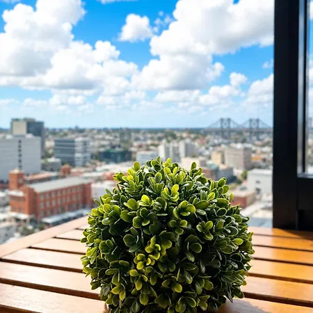 Apartment Skyline Sanctuary Luxe Valley Brisbane