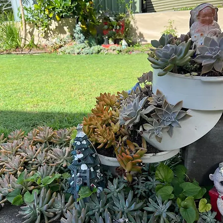 Private Living With A Single Bed * Brisbane