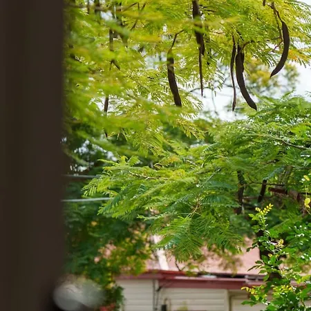 Heritage Family Heart Of West End Cbd And River Holiday home