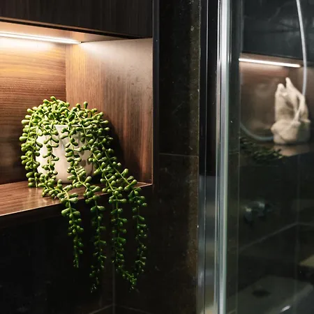 Apartment Skyline View High Floor 2br With Sofa Bed And Free Parking Brisbane