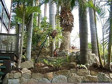 Guest house Franklin Brisbane