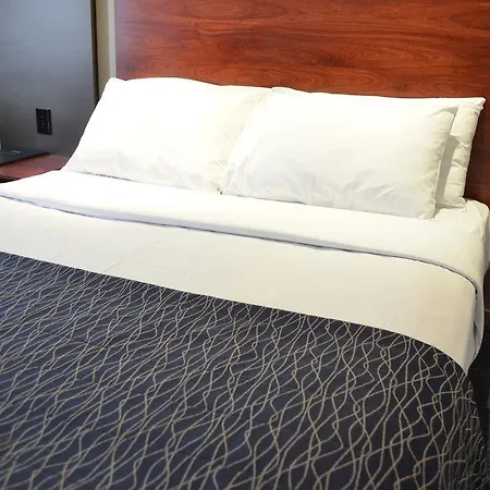 Rocklea International 4* Brisbane