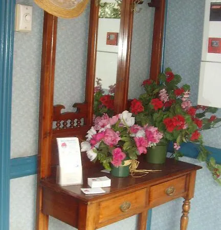 Annie's Shandon 3*