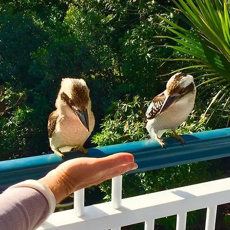 Homestay Balmoral Queenslander *