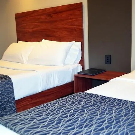 Rocklea International Brisbane