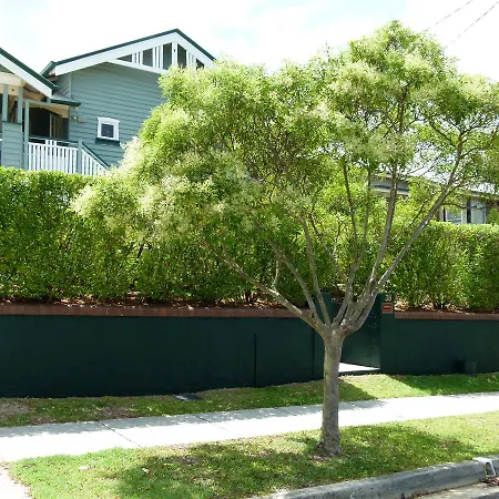 Wilston Village B&B Brisbane