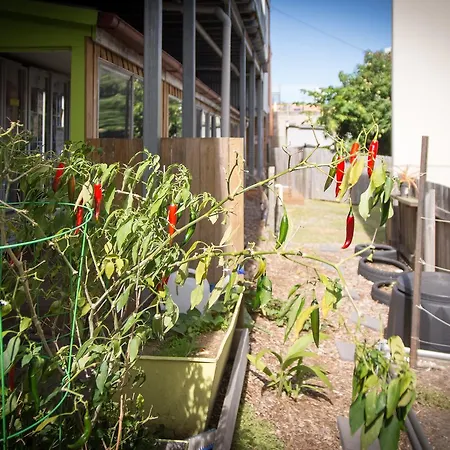 Joe's Place Backpackers Hostel Brisbane
