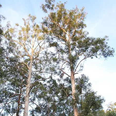 Paperbark Bed & Breakfast Brisbane