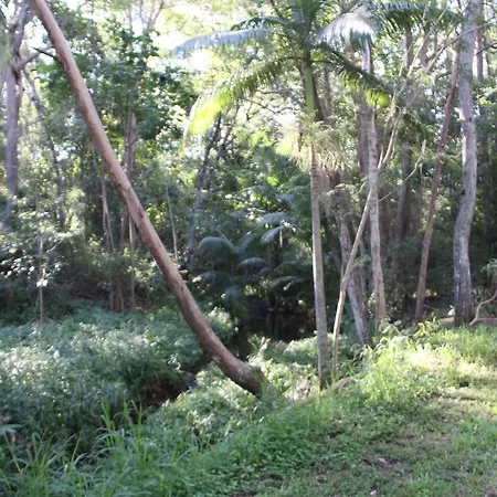 Bed & Breakfast Paperbark 5*