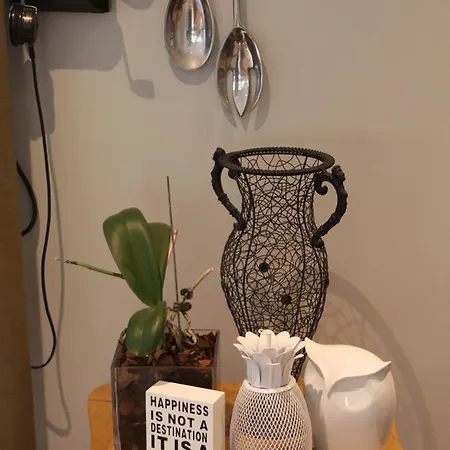 Bed & Breakfast Paperbark