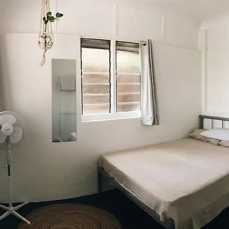 Bluetongue Backpackers Hostel *