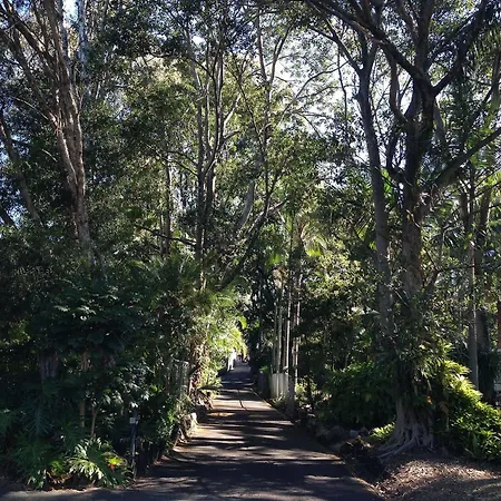 Hotel Forest