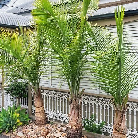 Bed & Breakfast One Thornbury Brisbane