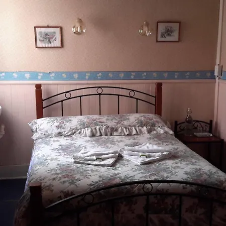 Annie's Shandon 3*