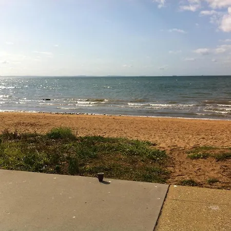 Chelsand Brisbane