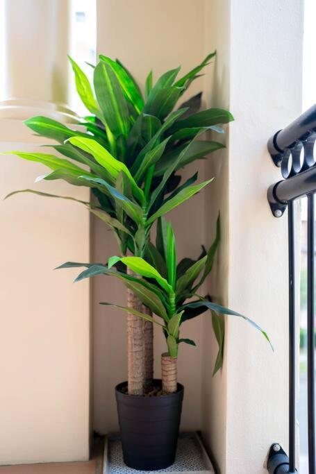 Relax In 2b2b Chateau Near Uq With Parking+balcony Brisbane