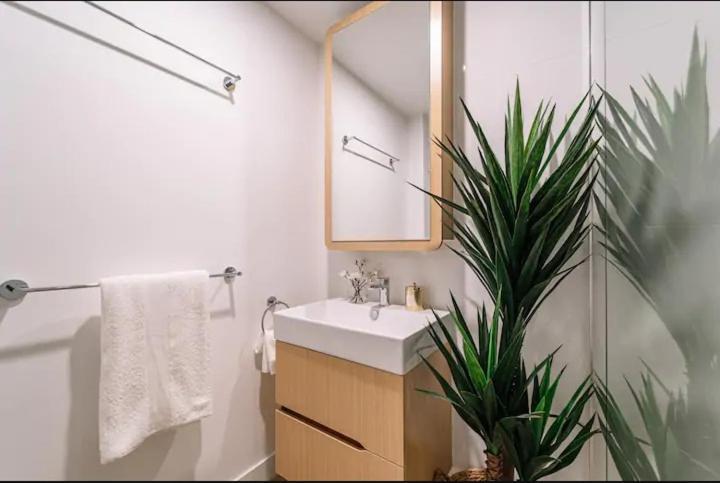 Apartment Modern Compact Separate Bathroom