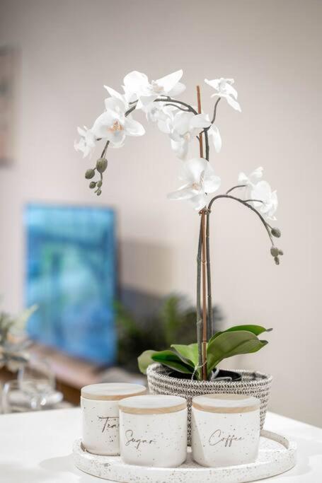 Urban Elegance 2b2b W Parking, Pool South Brisbane