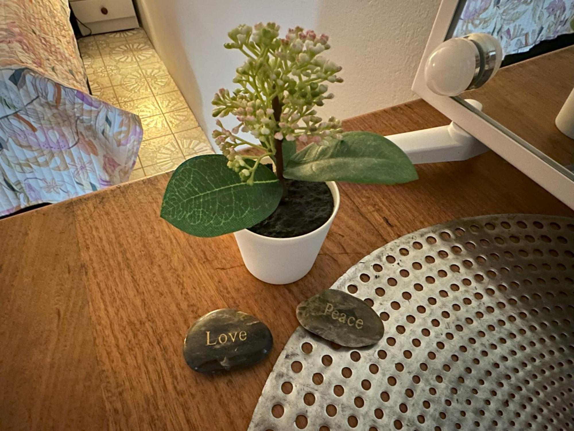 Zen Escape 
