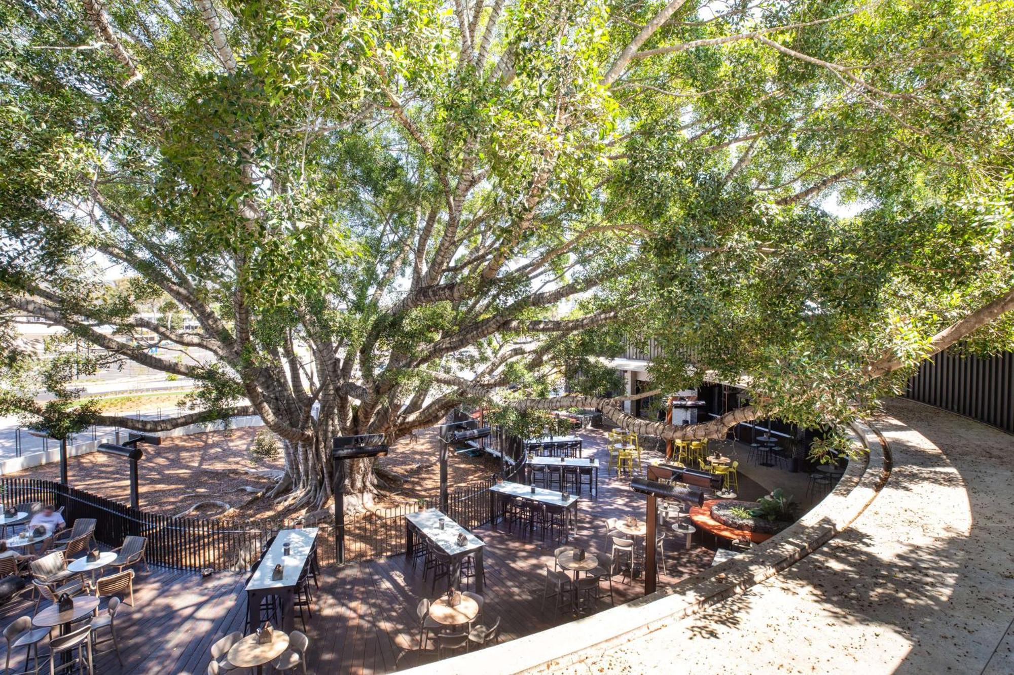 The Brook By Nightcap Brisbane
