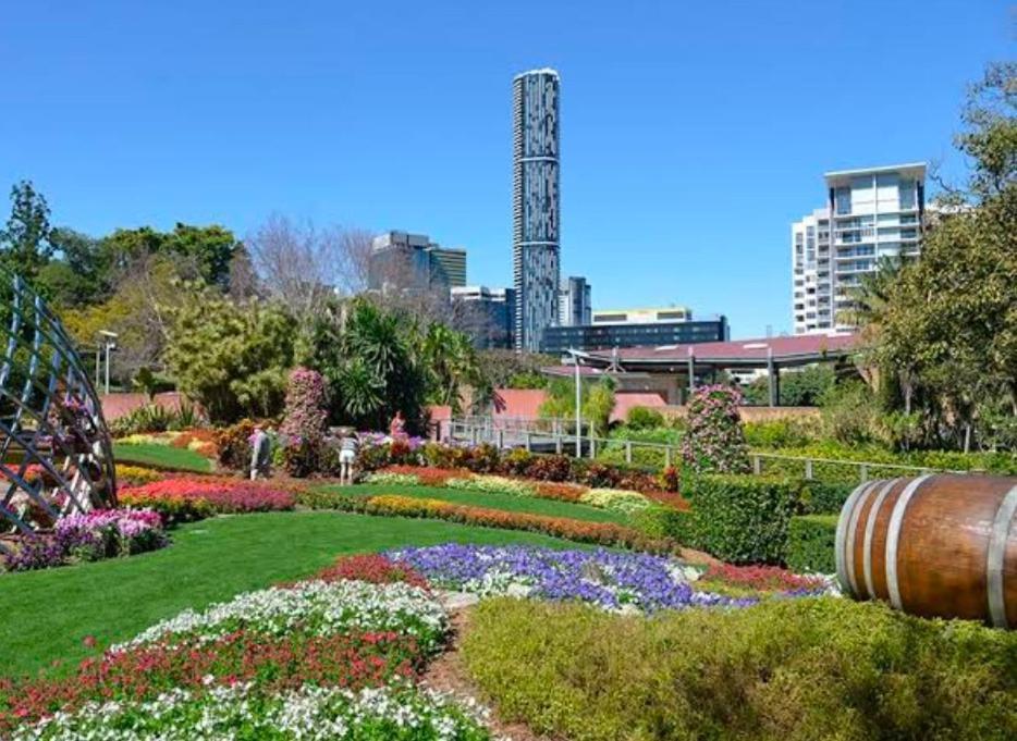 Hilltop Cbd Apartment