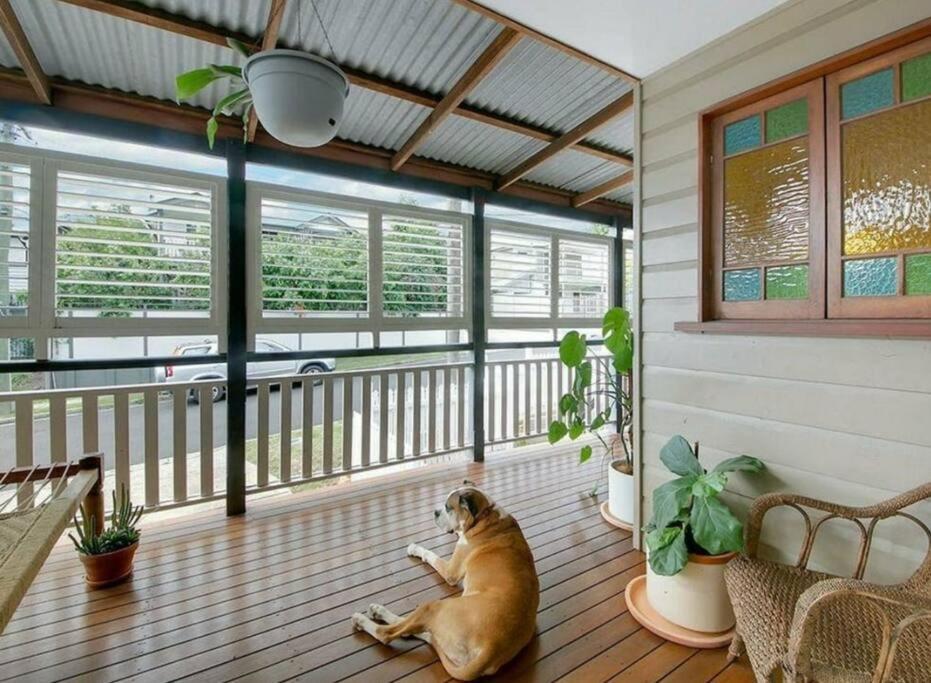 House Of Fairy Wren -charming Queenslander Mins Drive To Cbd And Gabba Stadium! Brisbane