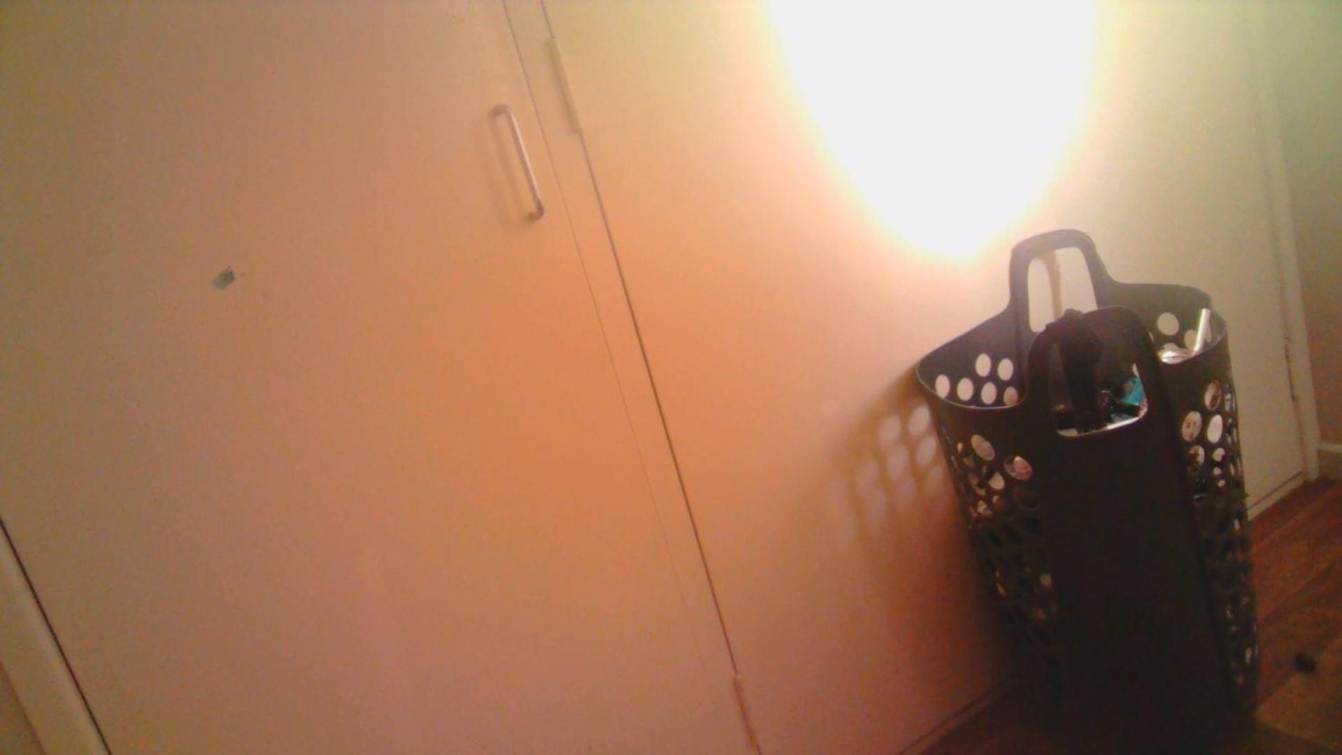 Grizzly Damo's Nft Gallery Apartment