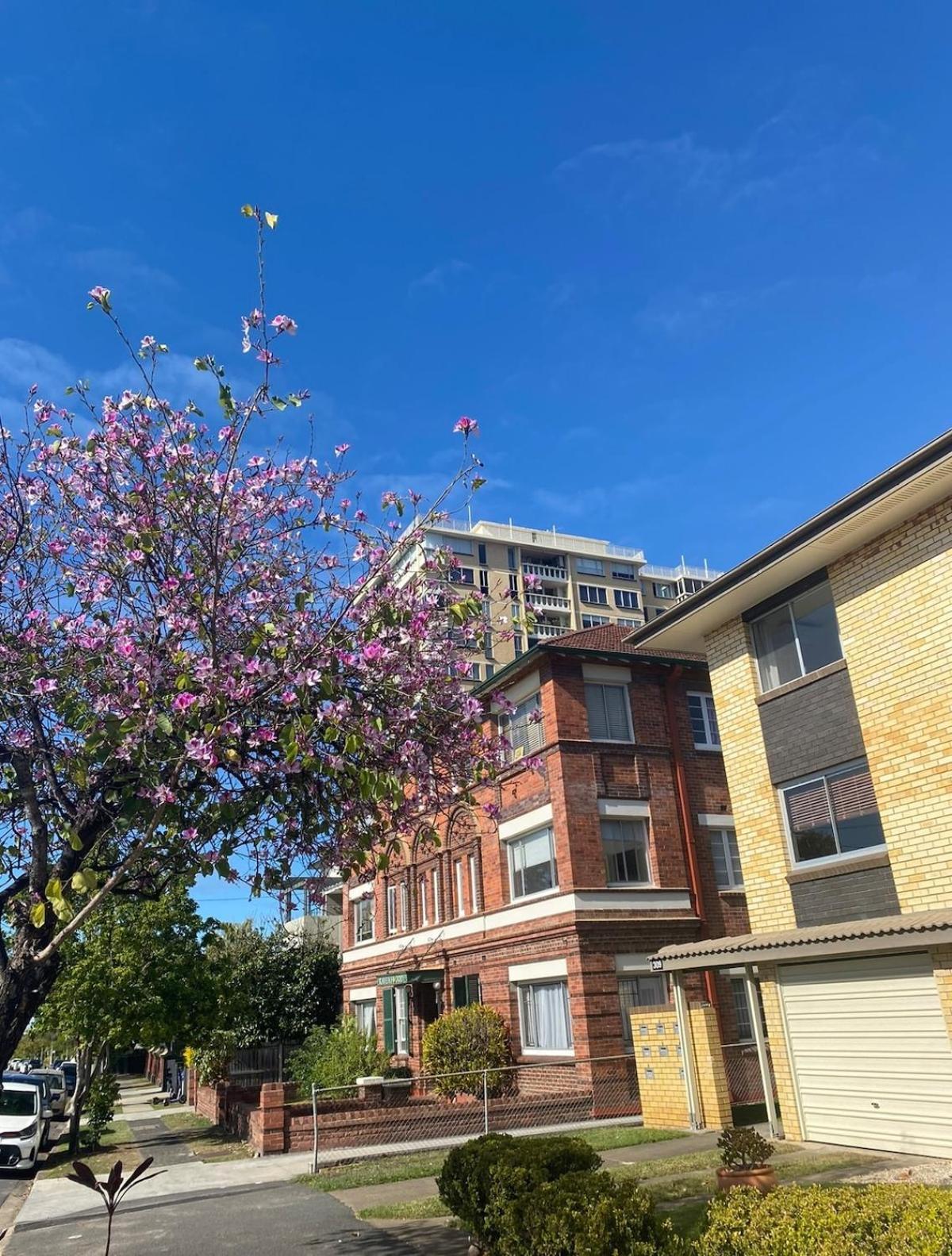 Bright In Trendy New Farm * Brisbane