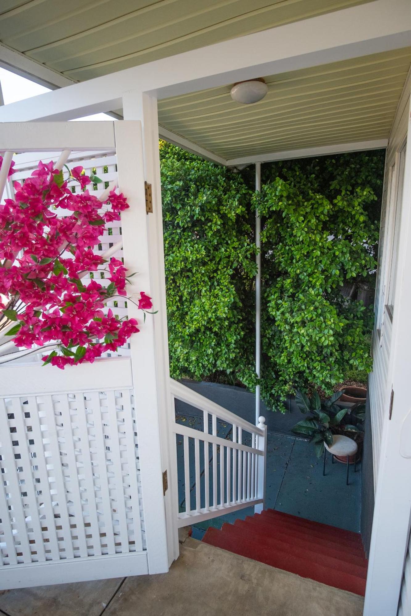 Bougainvillea *