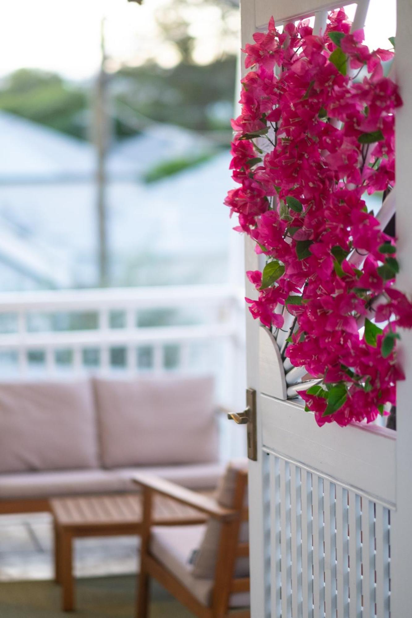 Bougainvillea
