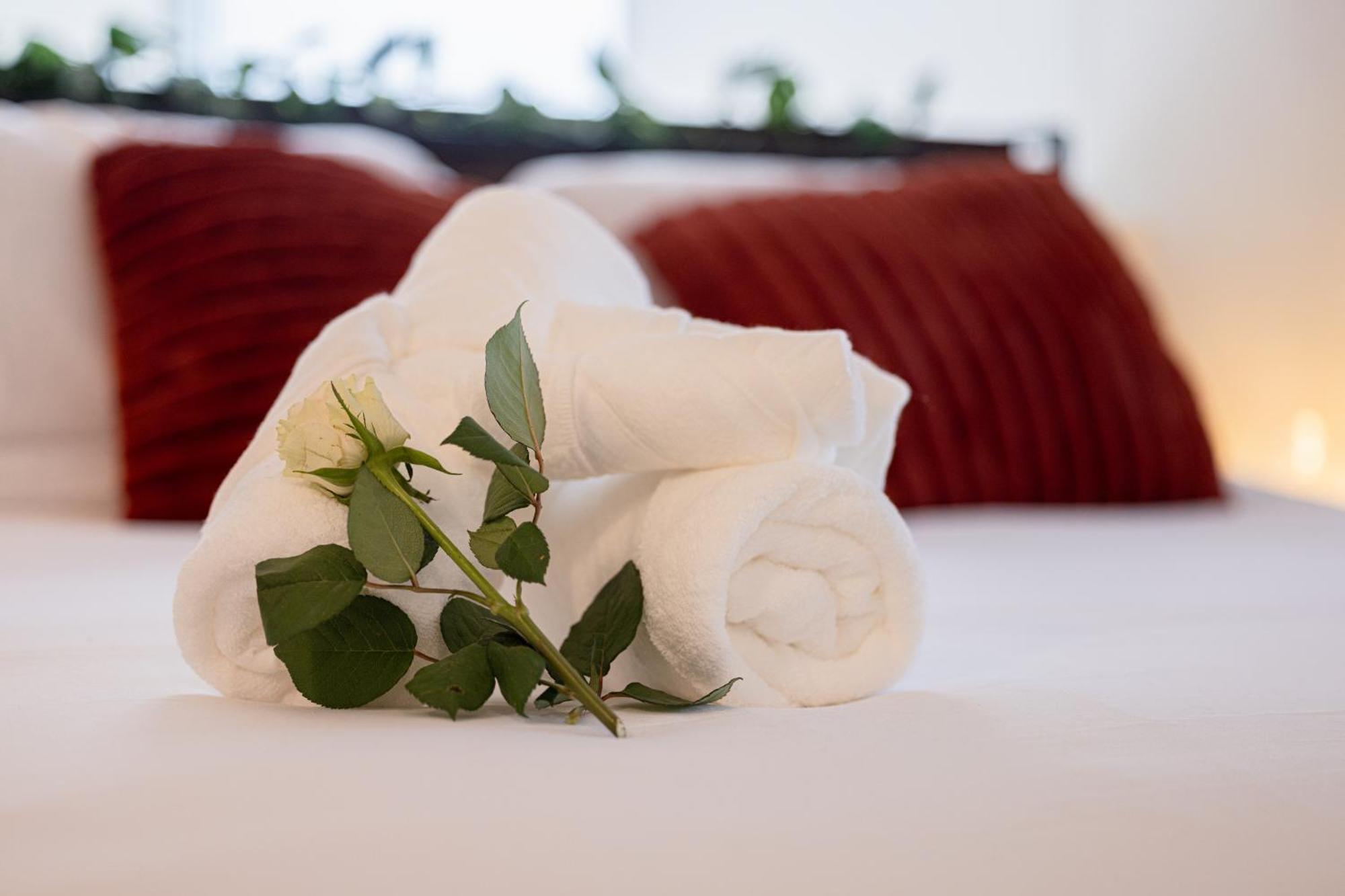 Apartment Stylish Heritage 2br Loft Near And River With Pool And Free Parking *