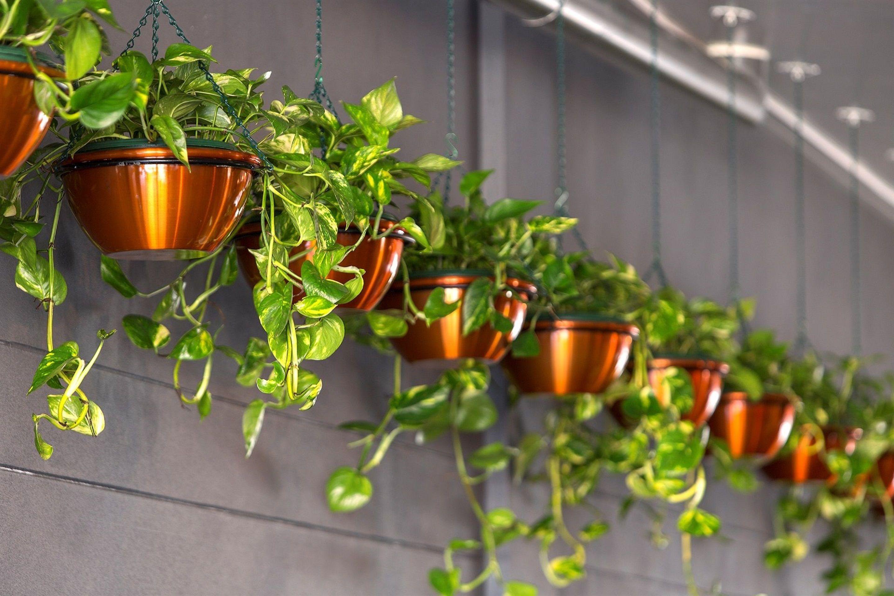 Hotel Grand Chancellor 5*