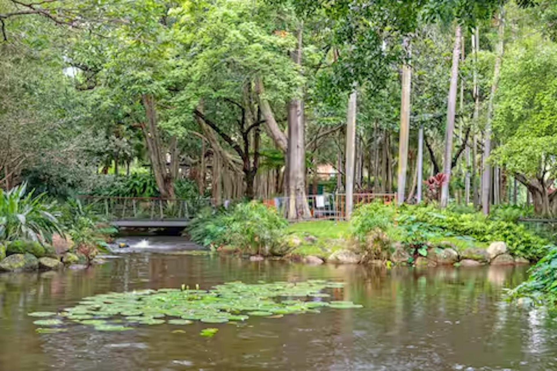 Apartment South 1br W-parking Wi-fi Dining