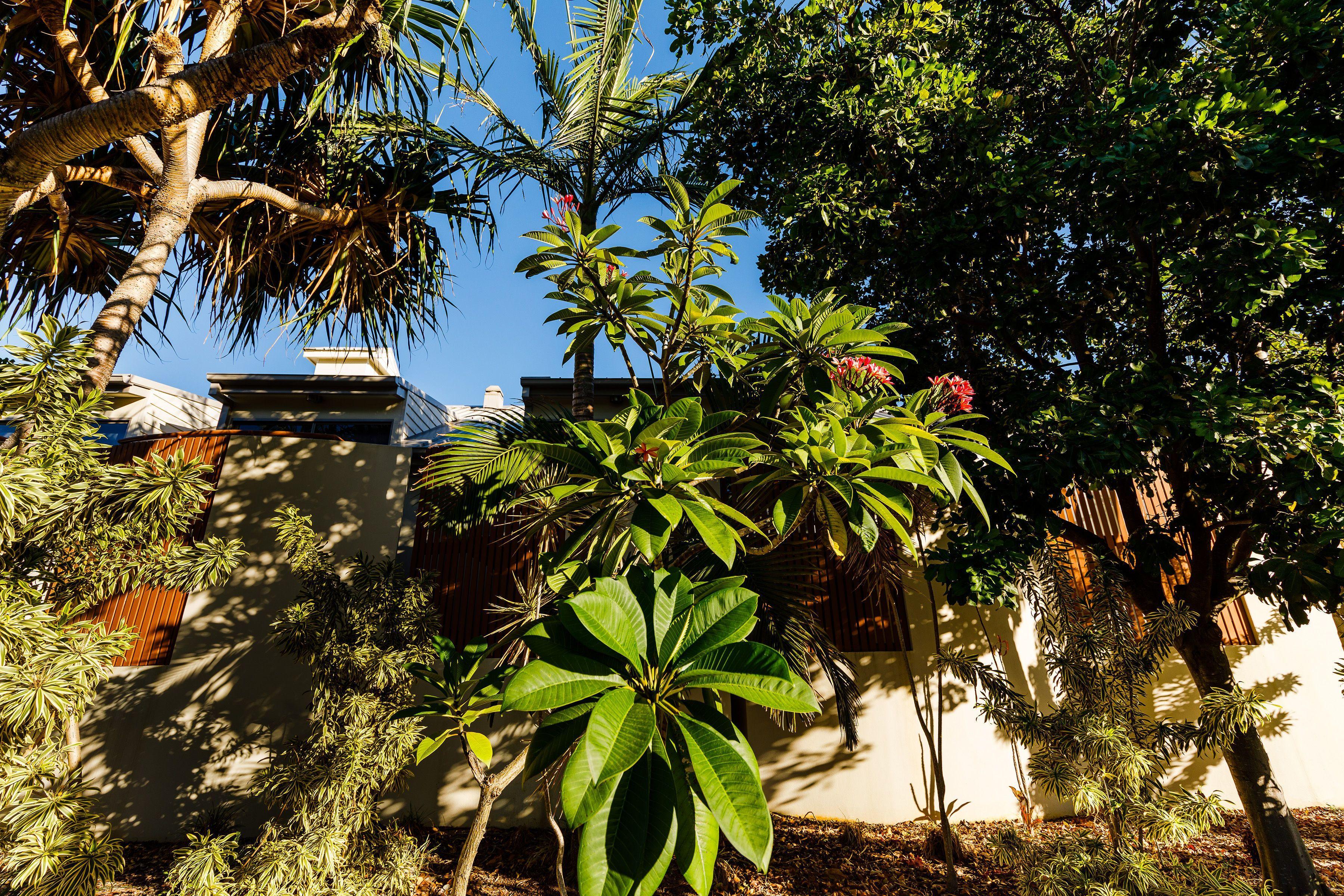 Hotel The Waterloo Bay Brisbane