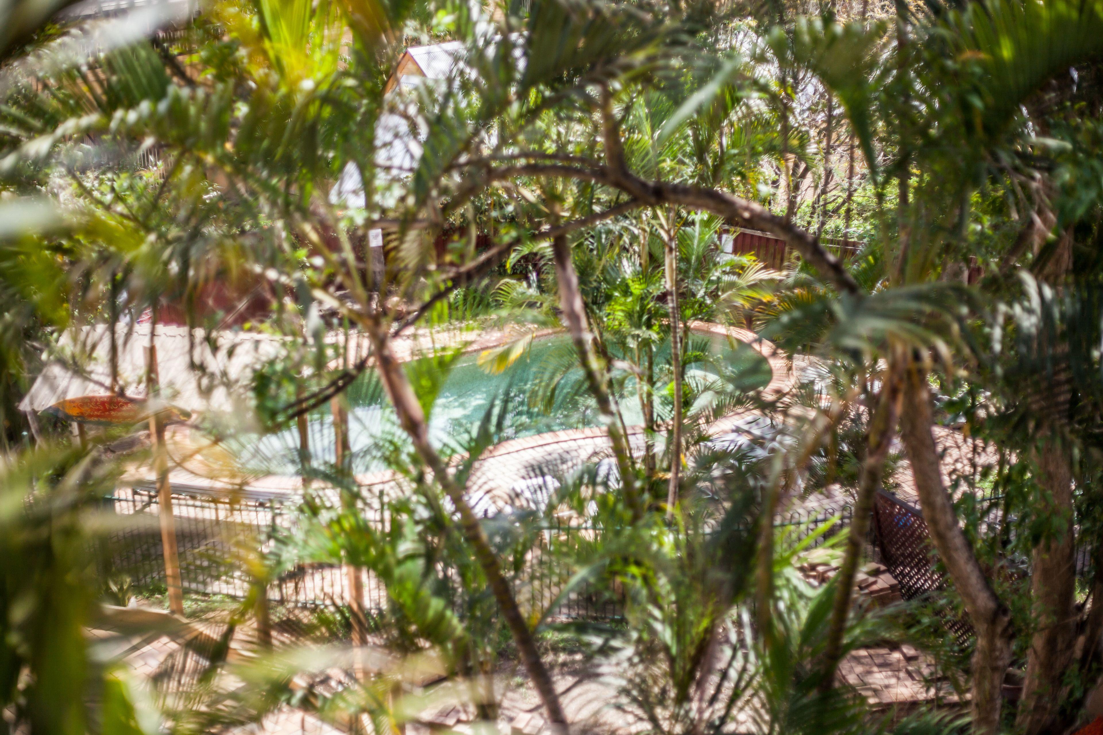 Somewhere To Backpackers *