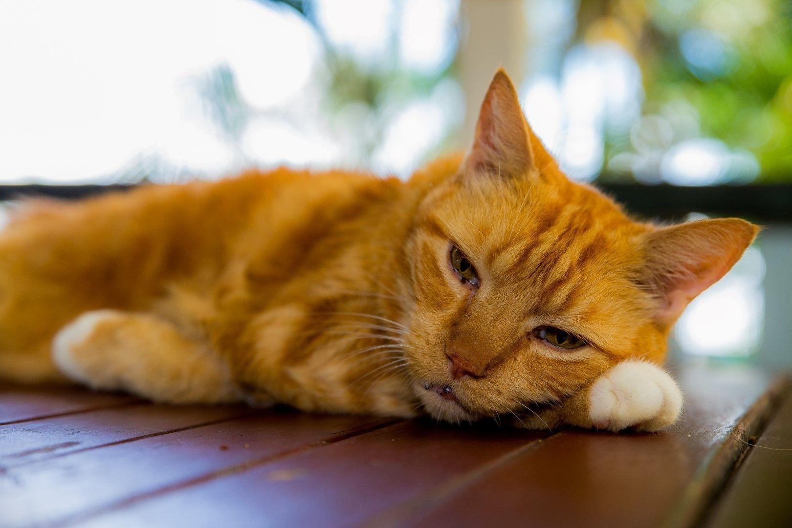 Somewhere To Backpackers Hostel Brisbane