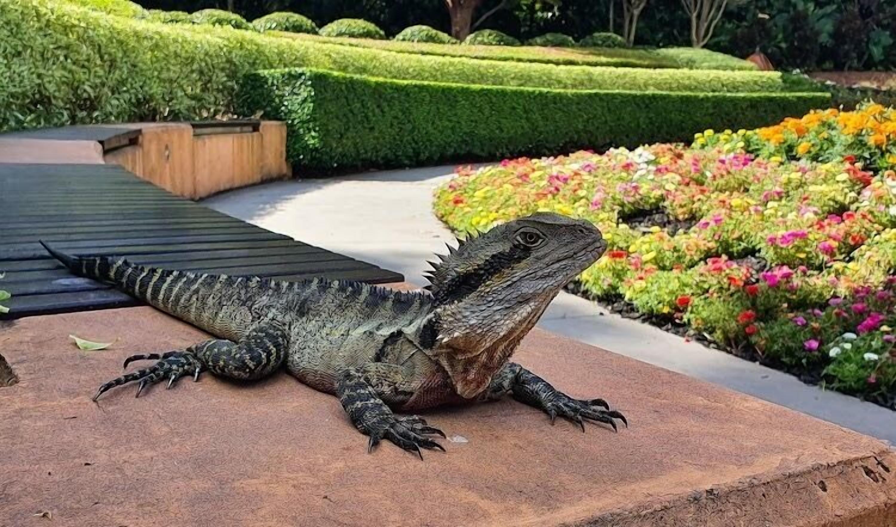 Aparthotel The Astor