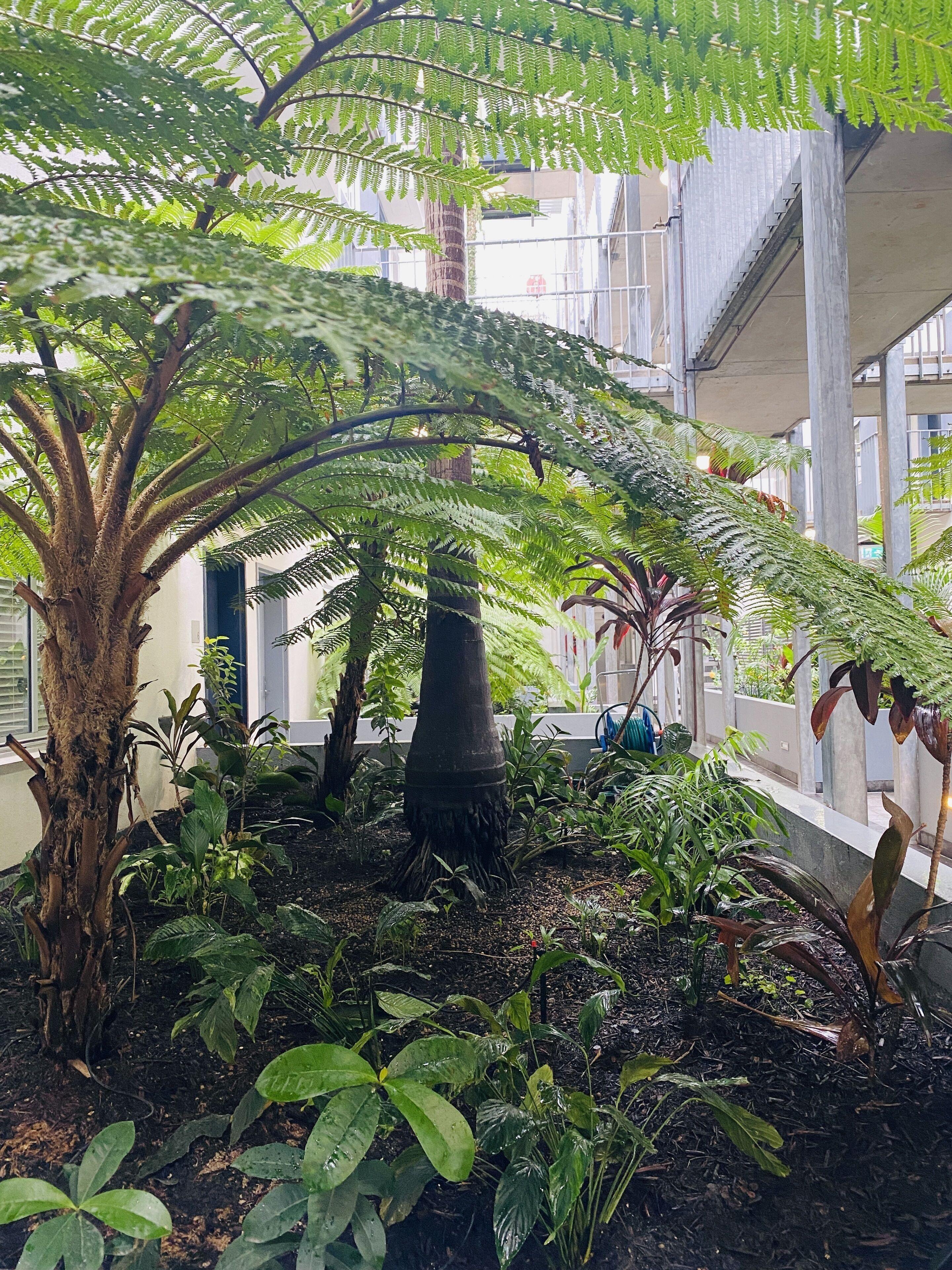 The Miro Aparthotel Brisbane