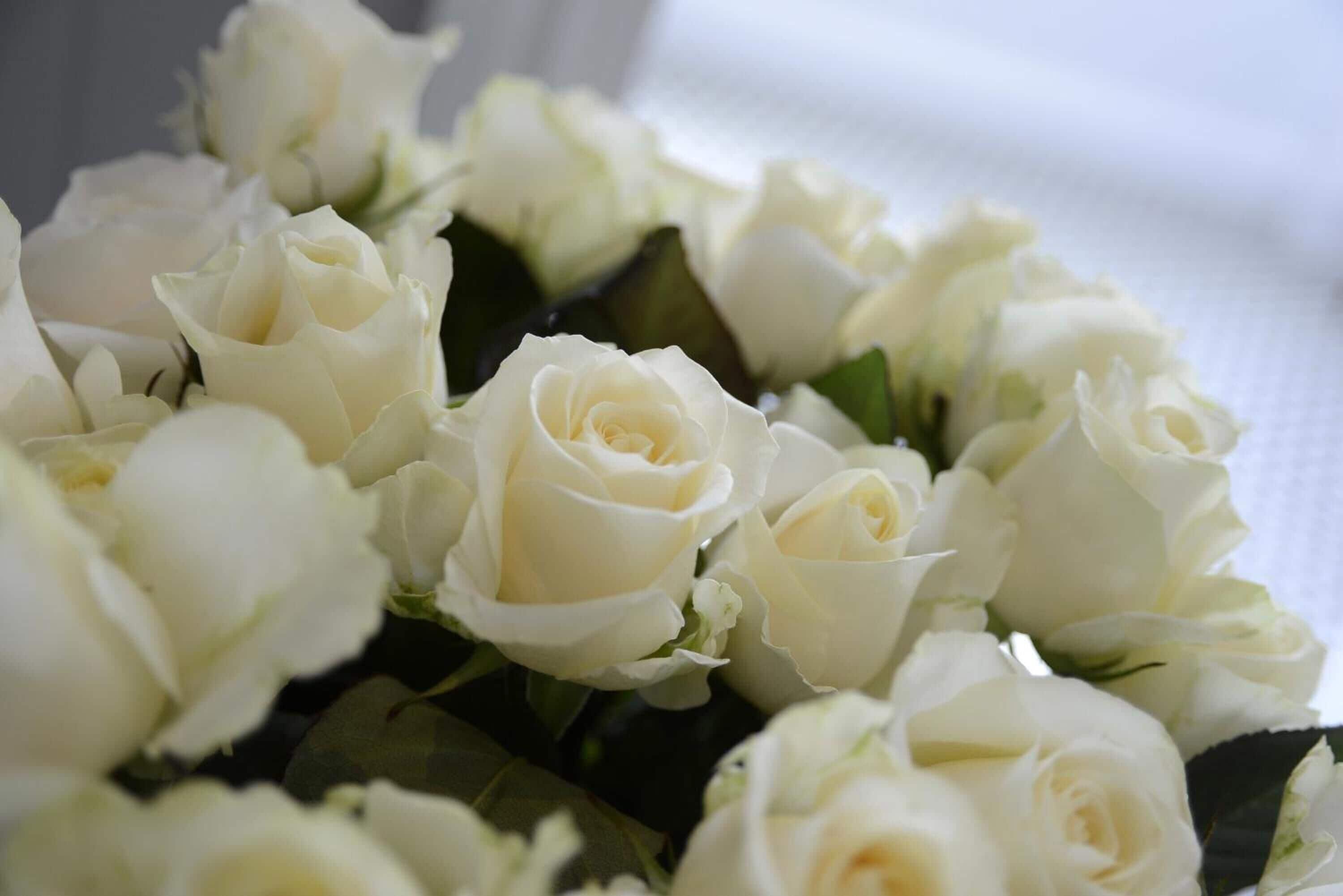 Heal House 4* Brisbane