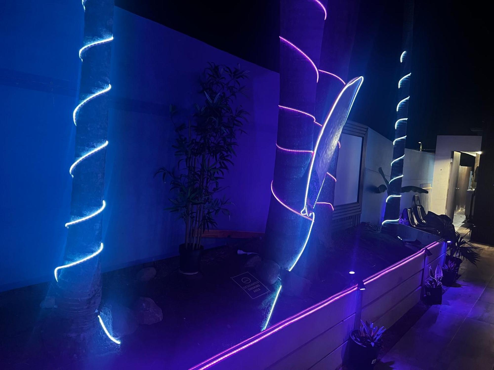 Hostel Palm Backpackers