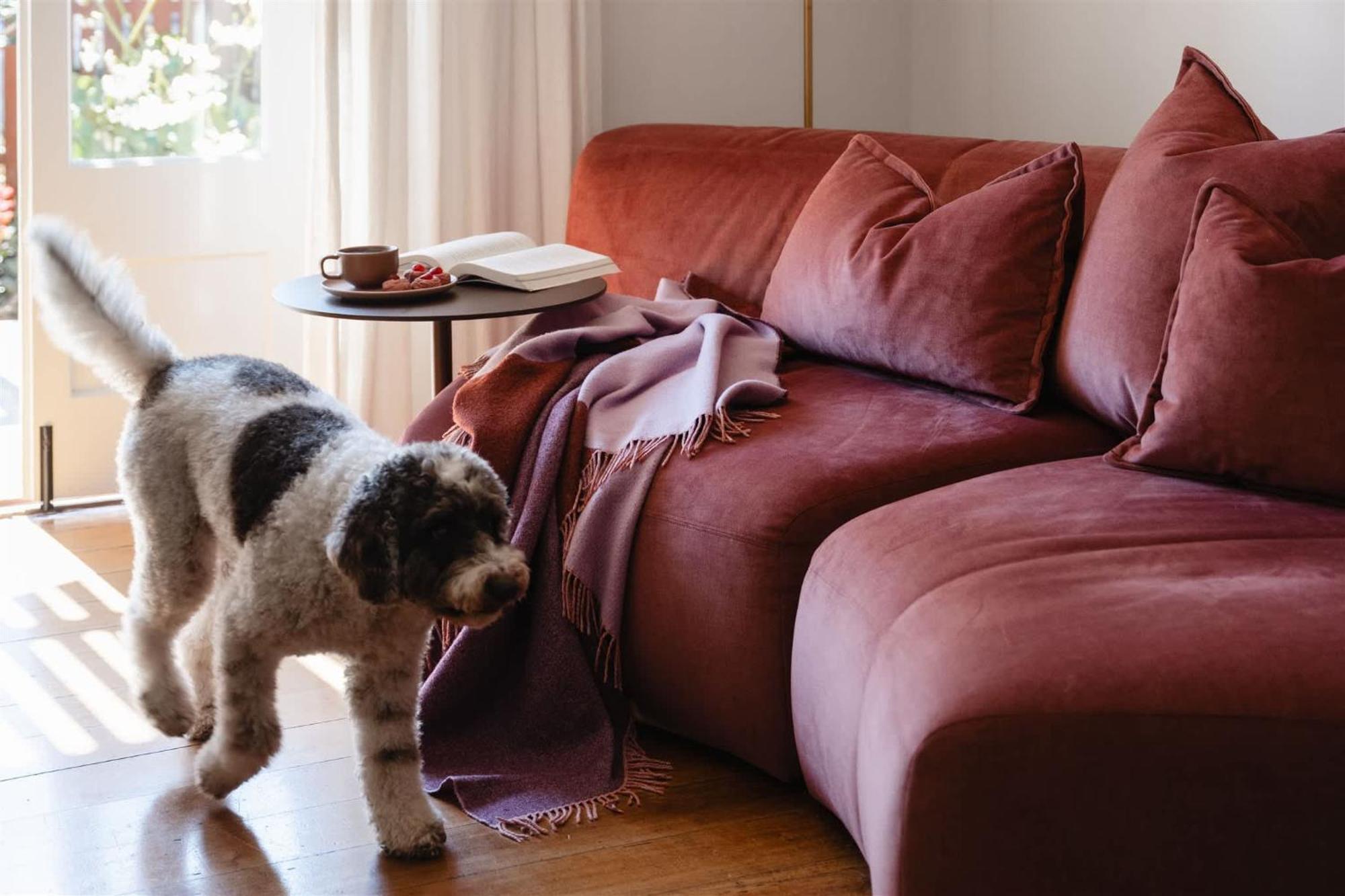 Miss Midgley's - Refectory Brisbane