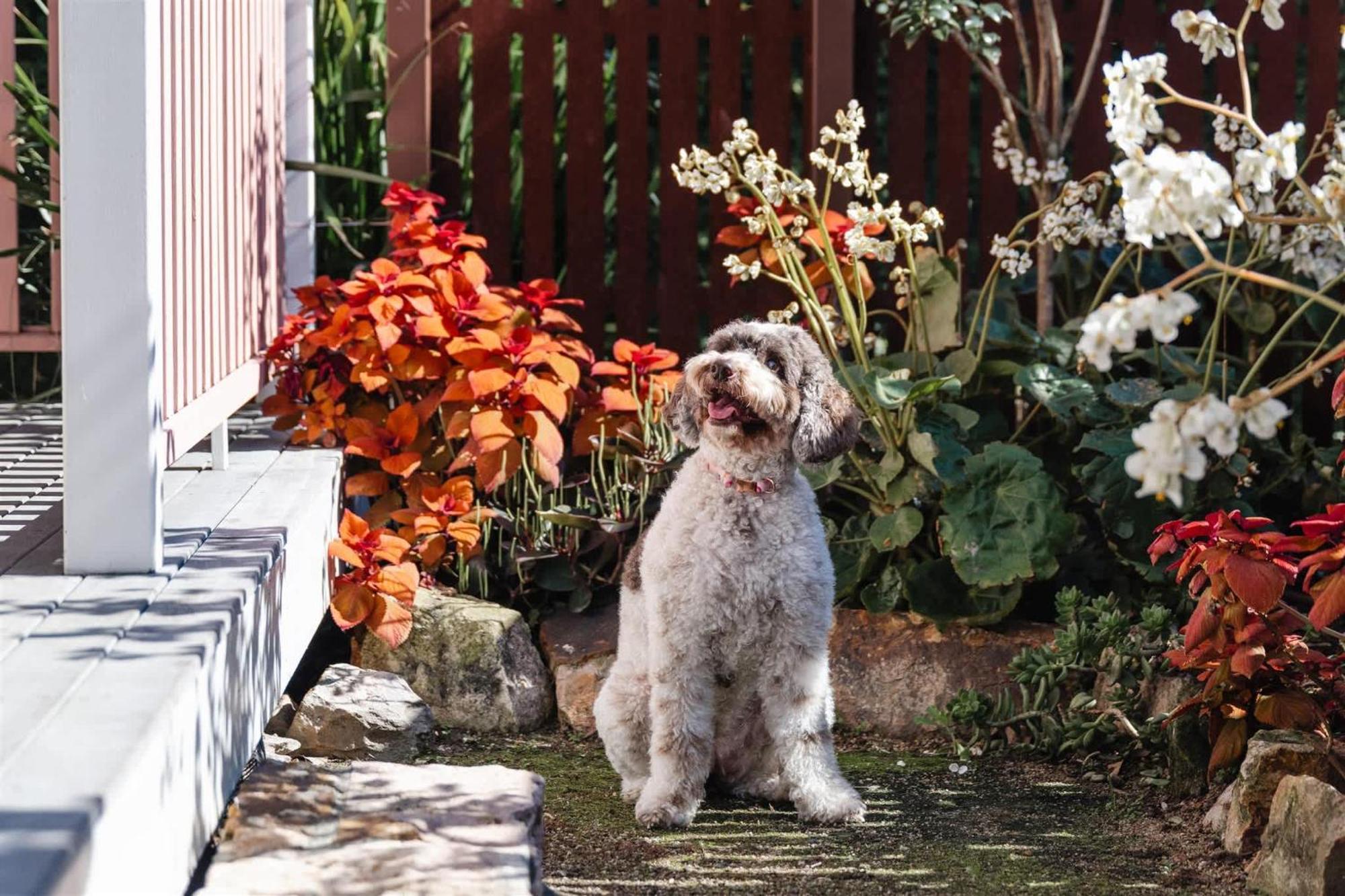 Apartment Miss Midgley's - Refectory