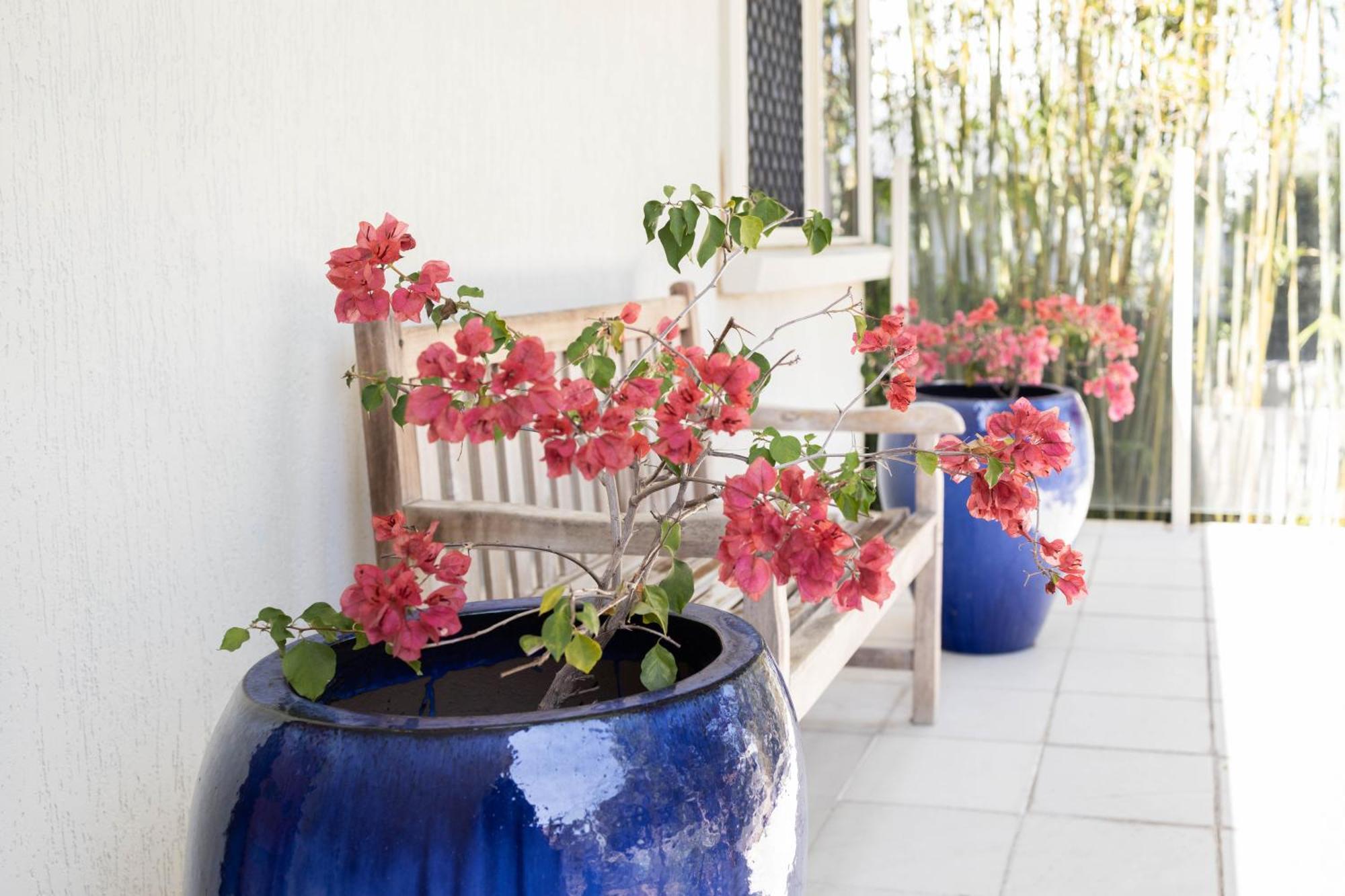 Bird And Leaf Holiday home Brisbane