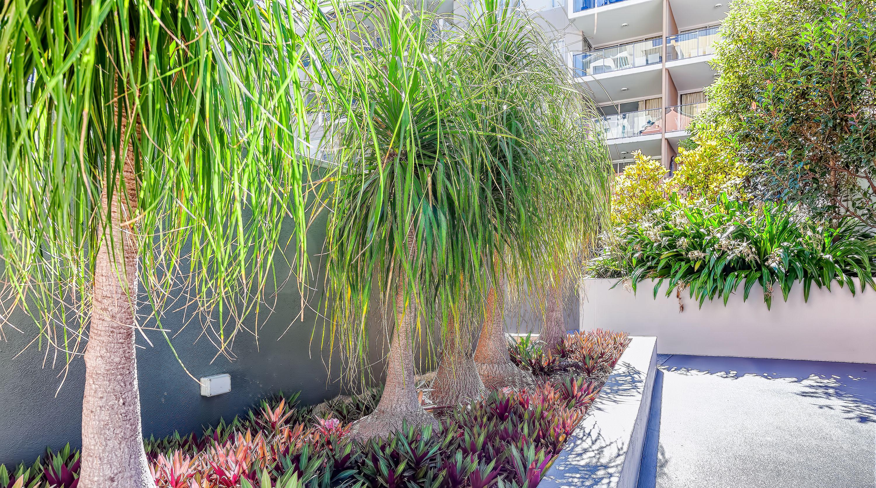 Trilogy Residences Aparthotel 4*