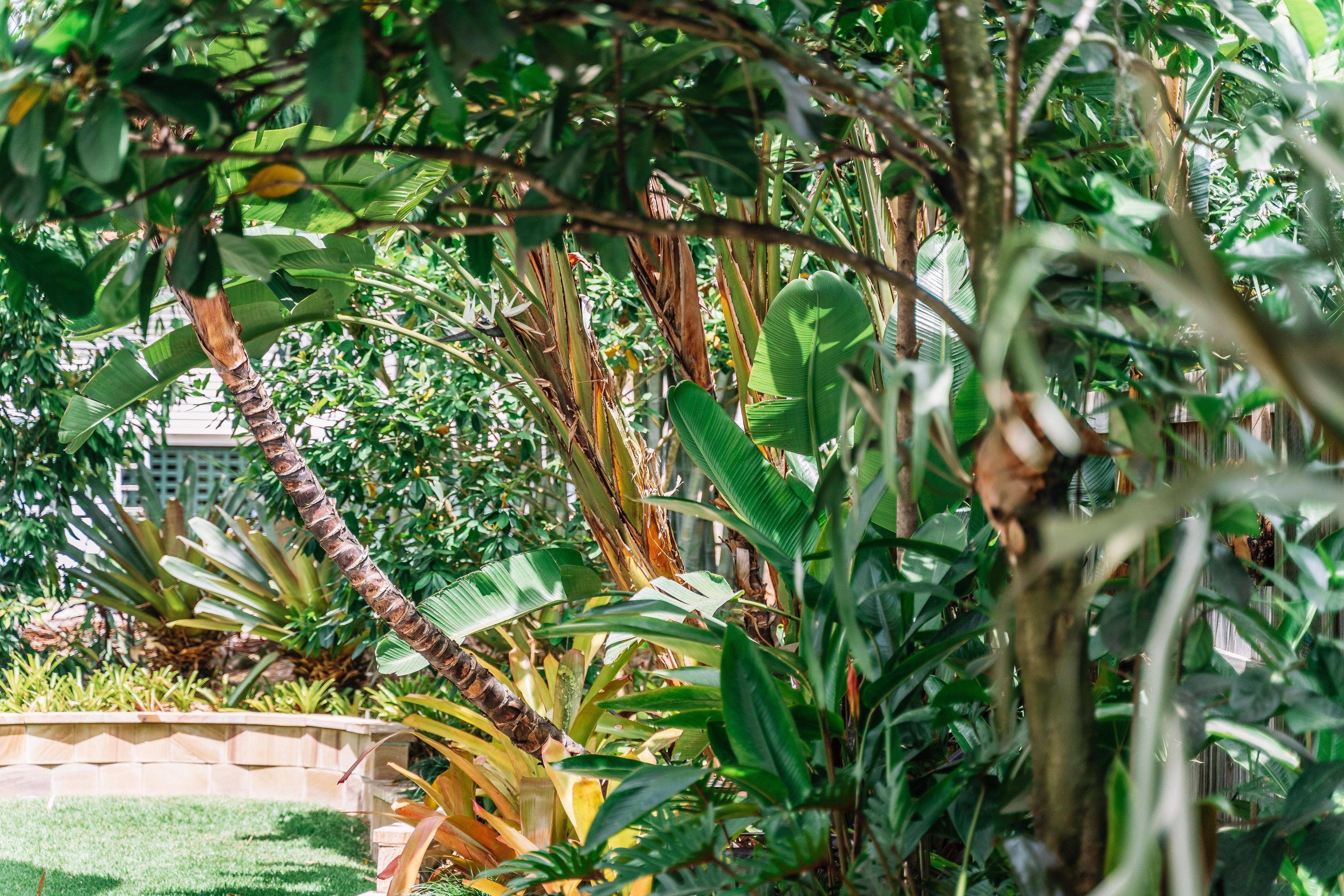 Balmoral Queenslander * Brisbane