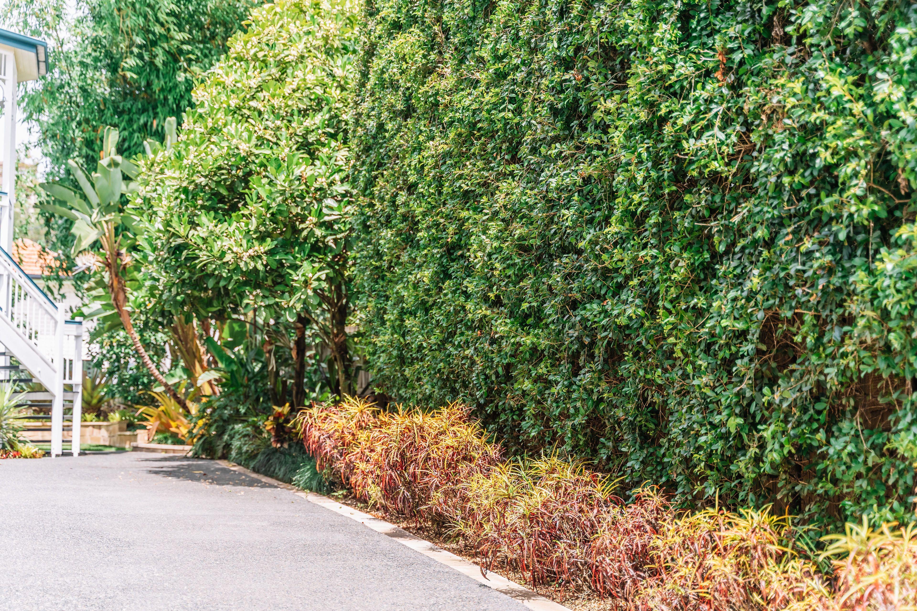 Balmoral Queenslander *