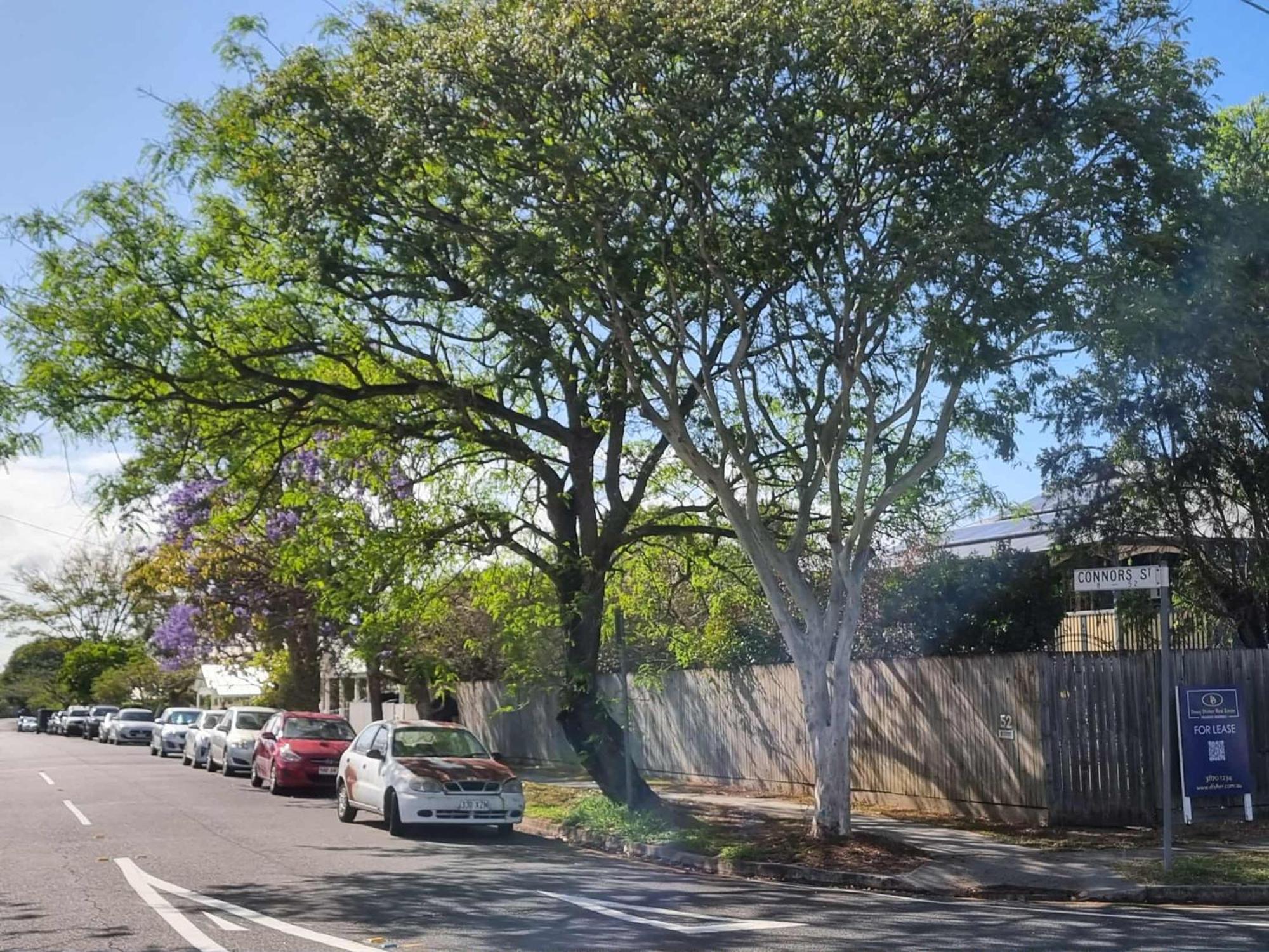 Guest house Welcome To Your Leafy Retreat In Graceville! *