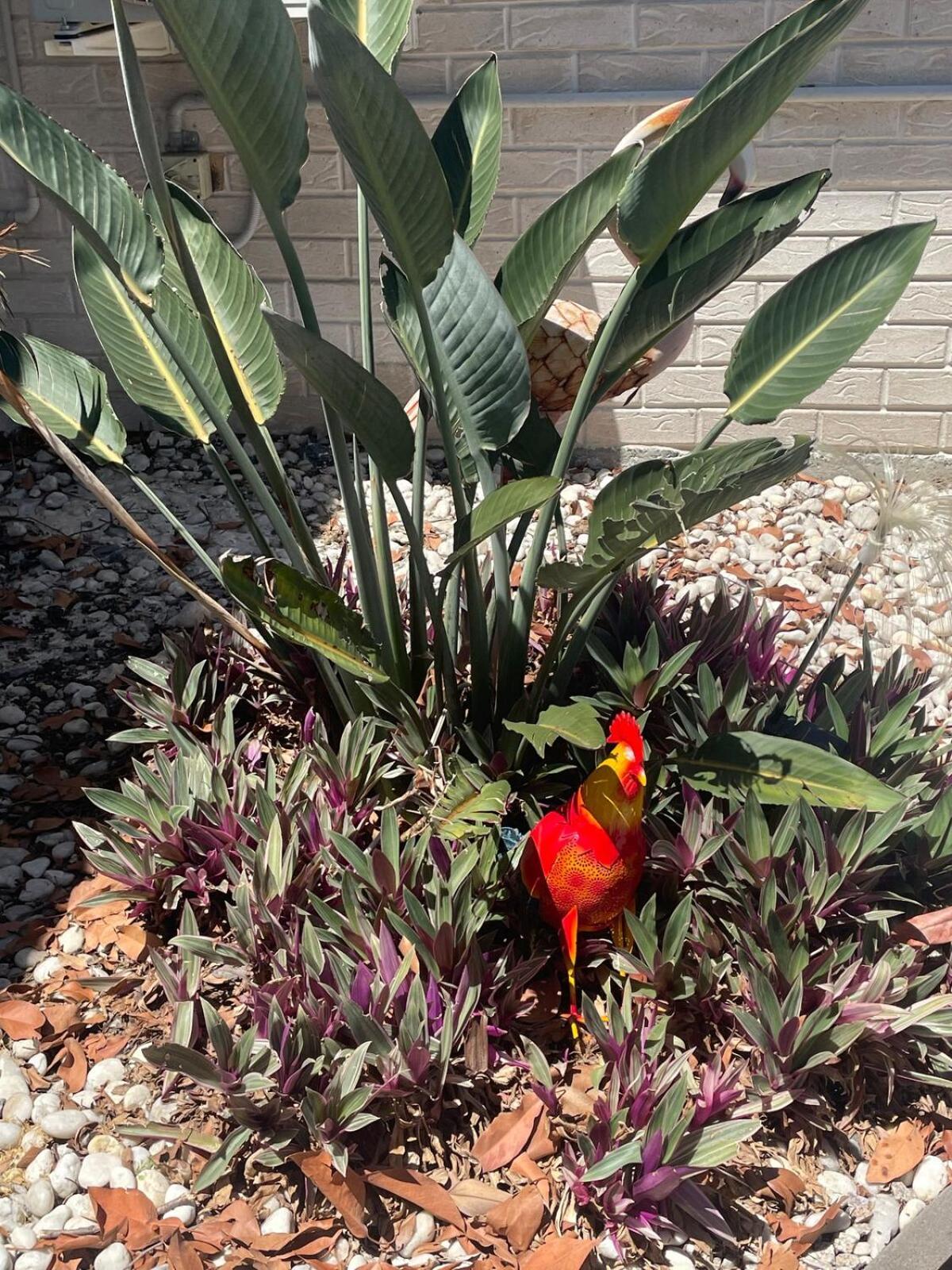 Salisbury Suburban Escape * Brisbane